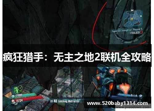 疯狂猎手：无主之地2联机全攻略