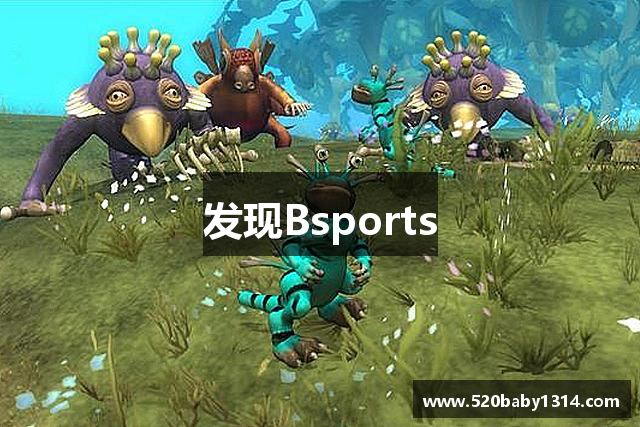 发现Bsports